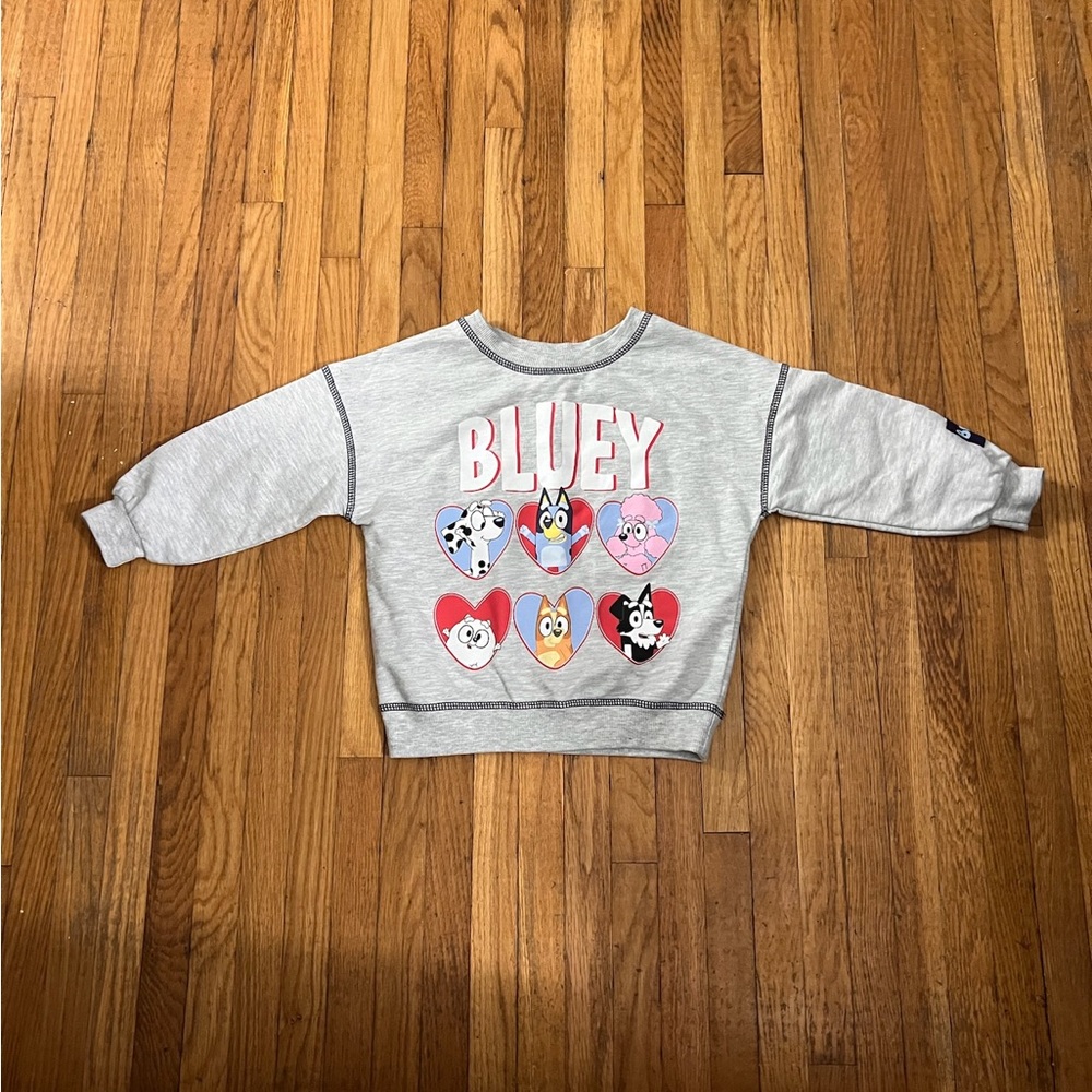 Bluey 3T Graphic Crewneck